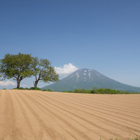 北海道旅行2012