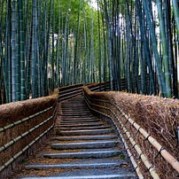 日本の原風景