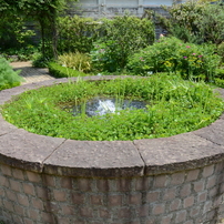 宝塚ガーデンフィールズ　English Garden.