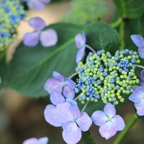 2012.6.24 熊谷市　能護寺
