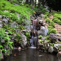 国分寺～緑あふれる素敵な町～