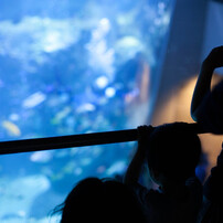 水族館　