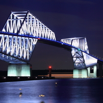 Dinosaur Bridge