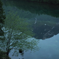 目覚めの水面