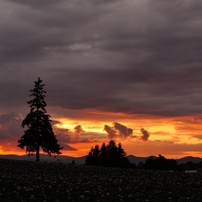美馬牛夕景<2>