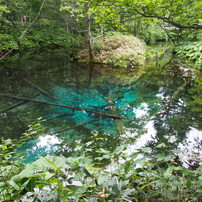 神の子池の写真 画像 写真集 写真共有サイト Photohito