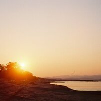 MINOLTA V2  実写作例あり MINOLTA(ミノルタ)のフィルムカメラミノルタV2 で撮影した写真