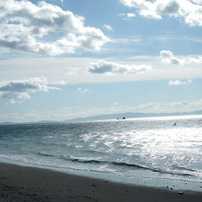 海