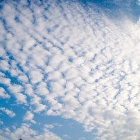 うろこ雲の写真 画像 写真集 写真共有サイト Photohito