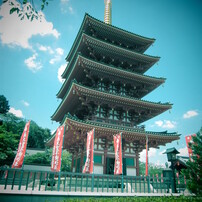 夏の五重塔