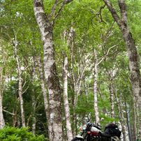 2012.07.28-09,45,44-DSC_0409