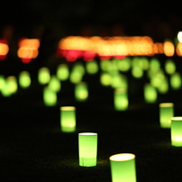 2012年　奈良燈花会