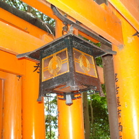鳥居のライト