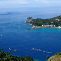 小笠原