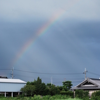 Get the rainbow!
