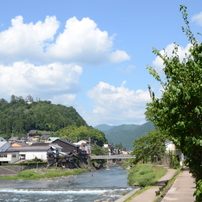 夏の郡上八幡