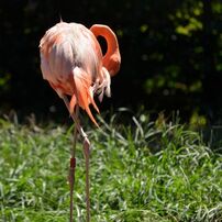 上野動物園にて