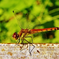 作例あり CanonEOS40D EOS 40Dで撮影された写真 | 写真検索 | GANREF