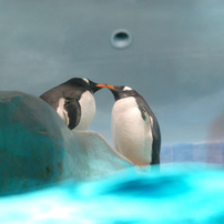 名古屋港水族館