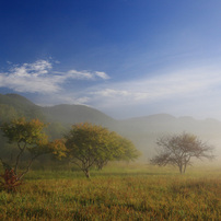 小田代ヶ原の写真(画像)・写真集 - 写真共有サイト:PHOTOHITO