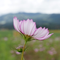 あびおの写真展