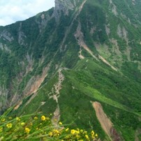 八ヶ岳連峰と高山植物2012