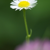 夏、秋、冬