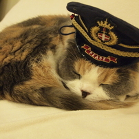 猫家