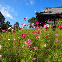 般若寺