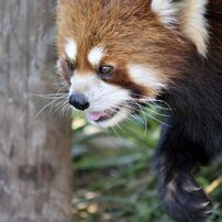 東武動物公園にて その2