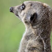 東武動物公園にて その1