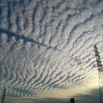 今日の空