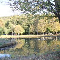 北山公園の四季