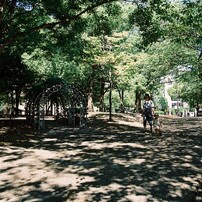 木陰の詩