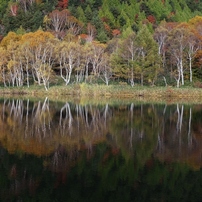 2012年　志賀高原の秋
