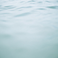 海