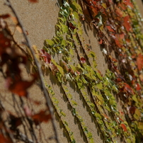useing@40  100macro