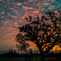 Sky4