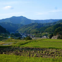 秋の農村