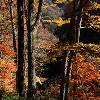山王峠