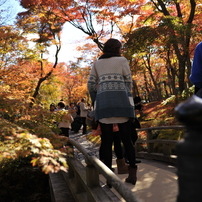 箱根紅葉’12