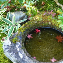 水鏡