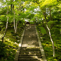 常寂光寺～参道階段～