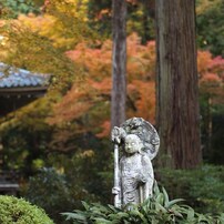 京都補完計画書　弐ノ巻