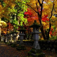 谷汲山華厳寺(2012.11.24)