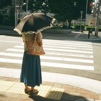 Solaris Summer