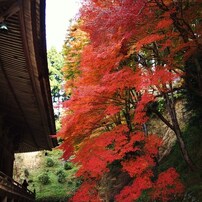 京都補完計画 其ノ伍拾肆