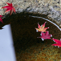 京都２０１２－６