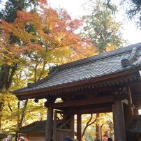 鎌倉 円覚寺の紅葉