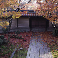 京都紅葉撮影オフ 20121201